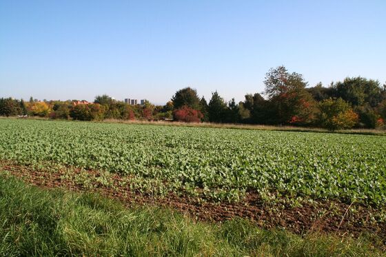 Blick auf die Dönche
